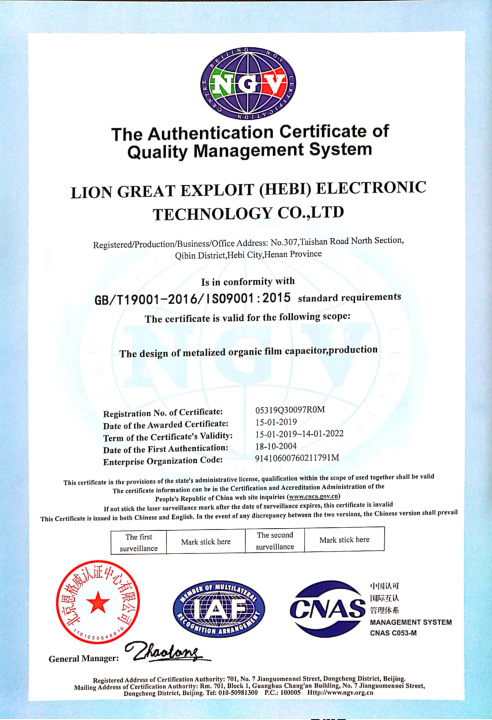 Lion Achieves ISO 9001:2015 Certification